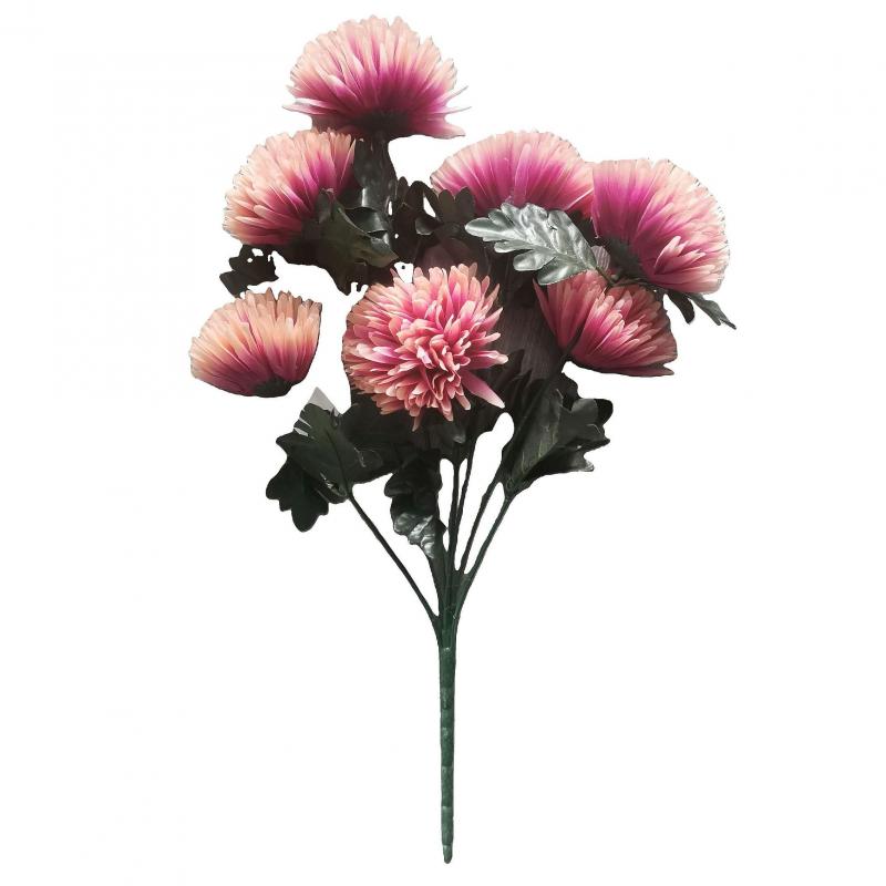 Chryzantemy bukiet 7 kwiatów 60cm